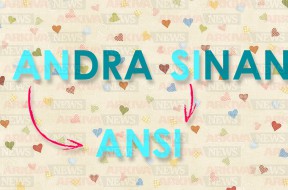 andra sinan - ansi