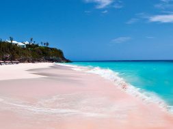 Pink Sand Beach, Bahamas