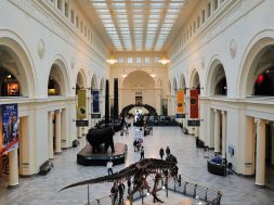 Main Hall at Field Museum