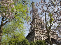 Paris_-_The_Eiffel_Tower_in_spring_-_2307