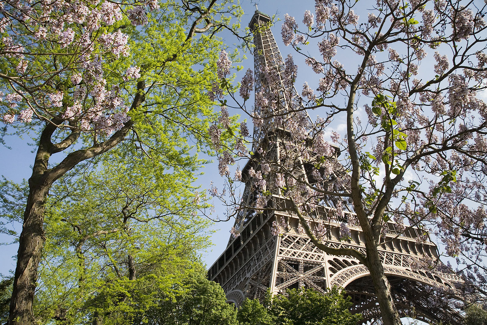 Stafi në grevë, Kulla Eiffel mbyll dyert për vizitorët