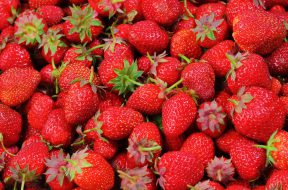 strawberries-berries-fruit-freshness-46174