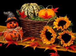 2017-10-31 15_33_52-Free stock photo of autumn, decoration, fall