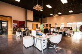 people-sitting-on-chairs-beside-their-desks-in-an-office-1170412