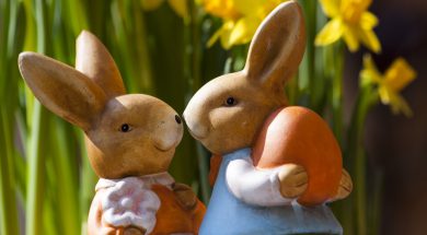 easter-bunny-easter-rabbit-bunny-couple-69816