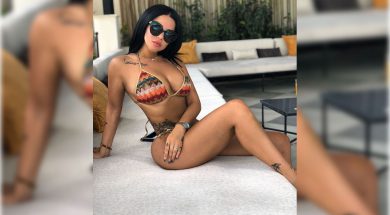 Eva Article