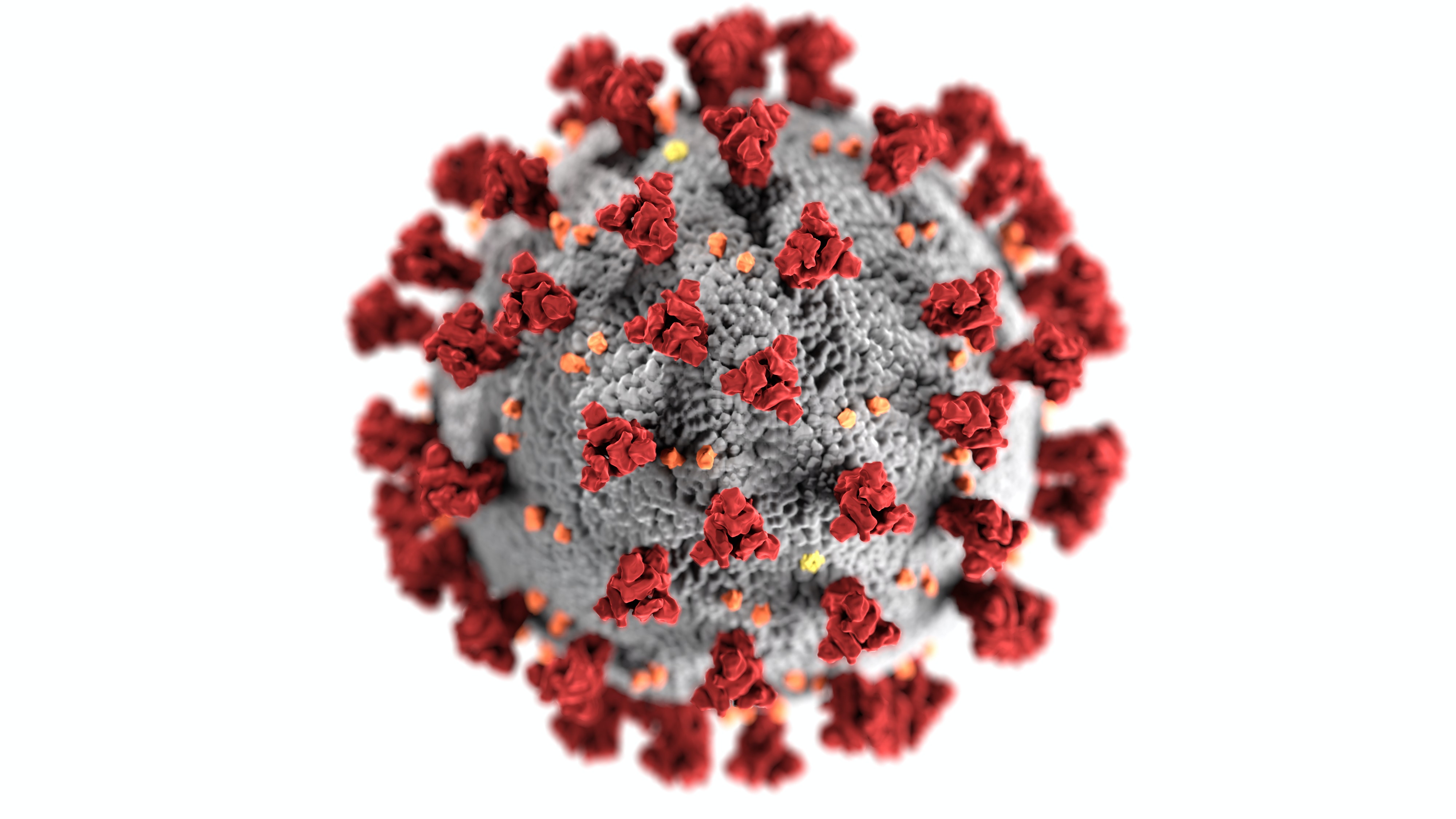 E trishtë/ Zgjohet nga koma, por e gjitha familja I ka vdekur nga Coronavirus
