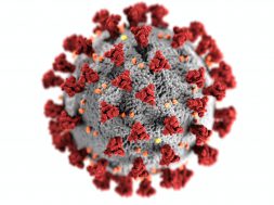 coronavirus-3992933-1-1