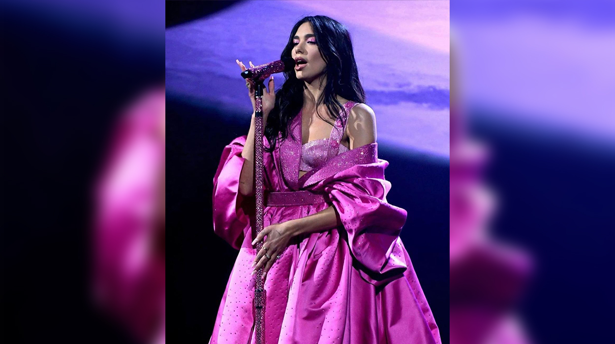 Dua Lipa sulmohet  nga fansi i çmendur, ja pamjet që po bëjnë xhiron e rrjetit