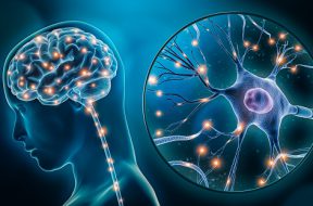 Human brain stimulation or activity with neuron close-up 3D rendering illustration. Neurology, cognition, neuronal network, psychology, neuroscience scientific concepts.