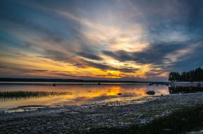 pexels-egor-kamelev-2901834