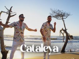 Cataleya Thumbnail