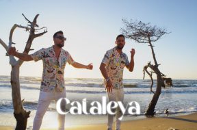 Cataleya Thumbnail