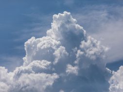 parashikimiiii