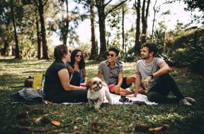 picnic