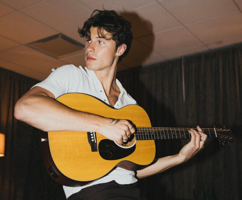 Pas Camila Cabello, Shawn Mendes nis një romancë me këngëtaren e njohur