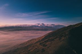 mushegh-hakobyan-UOJNtLy7IW4-unsplash