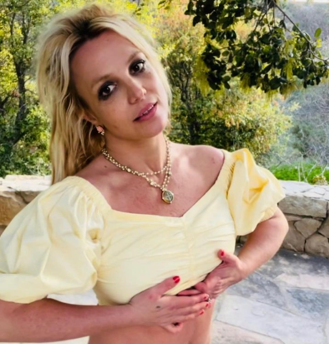 Pas ndarjes nga Sam, Britney Spears organizon festën shfrenuese me një grup djemsh