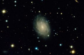 pexels-dennis-ariel-11431055