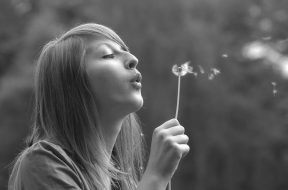 the young girl blowing the dandelion - flower