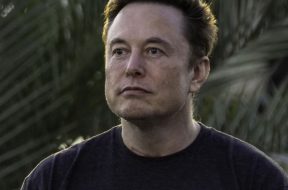 elon (3)