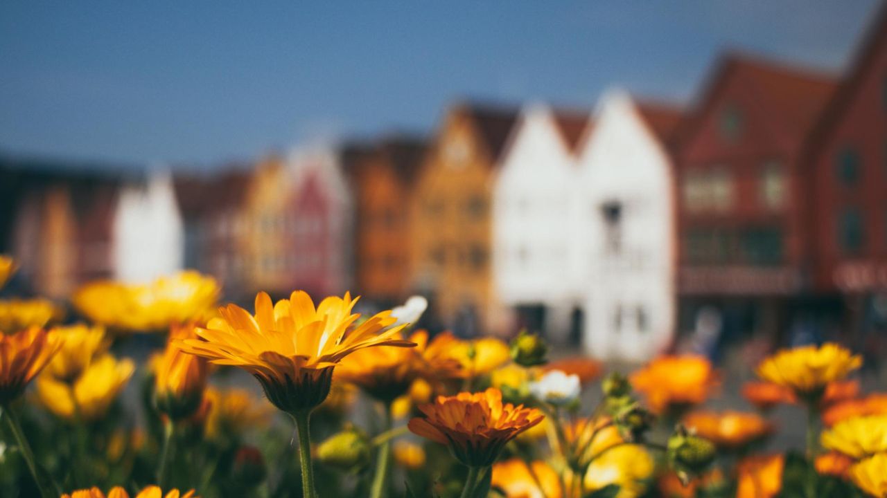 Parashikimi i motit, 23 prill 2025