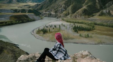 pexels-julia-volk-5110971