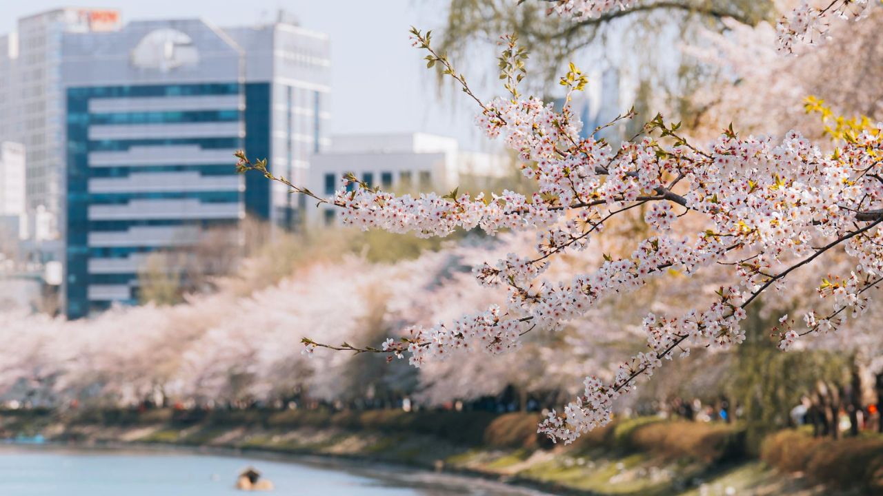 Qytetet më të bukura në botë për t’i vizituar në pranverë
