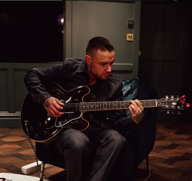 Çfarë do të ndodhë me ta! Liam Payne la trashëgimi 24.3 milionë pasuri pa testament