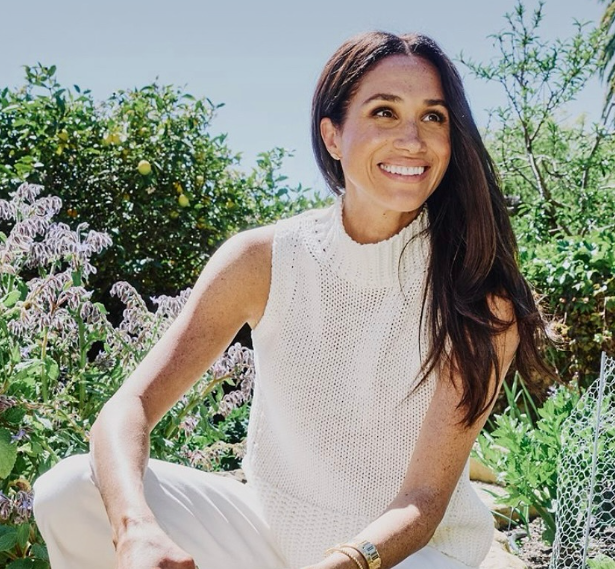 Meghan Markle dëshiron të ndahet nga Duka i Sussex?