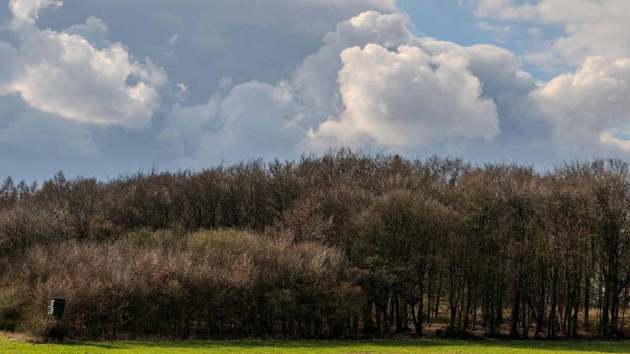 Parashikimi motit, 19 maj 2025