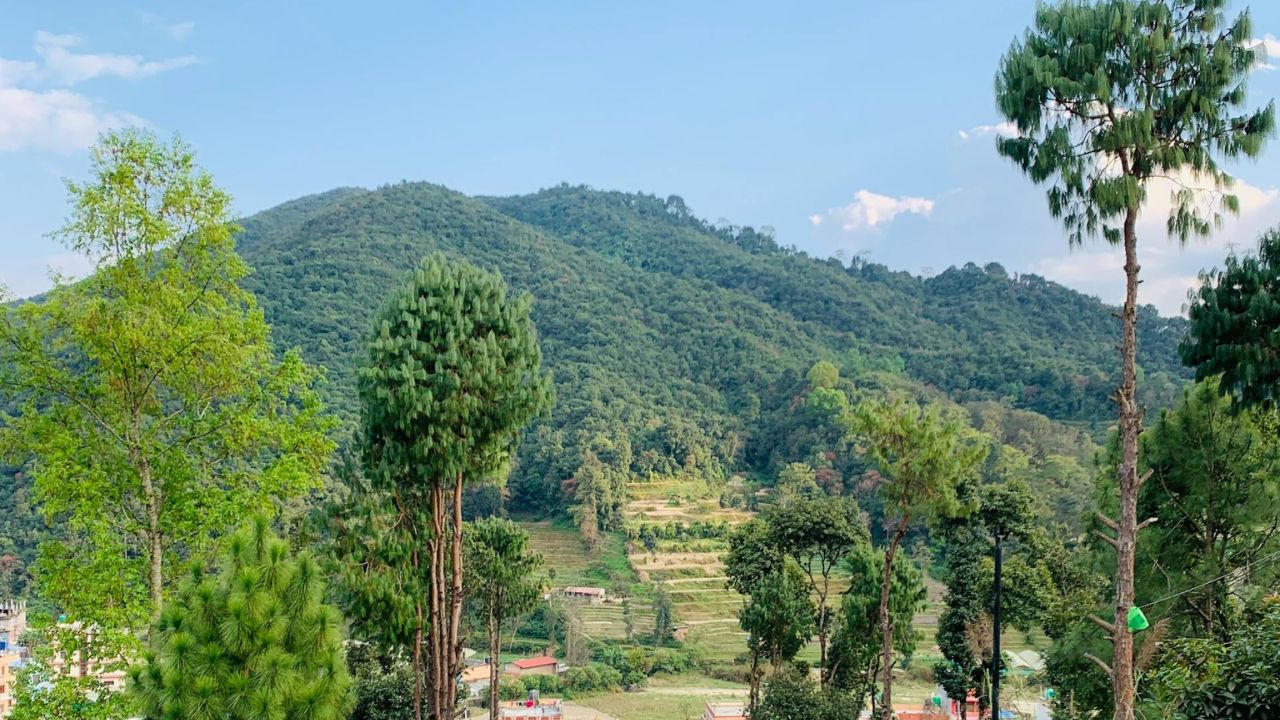 Parashikimi motit, 22 maj 2025