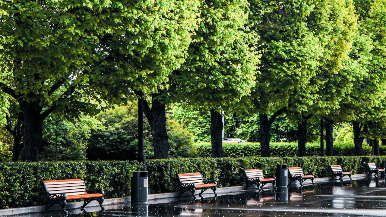 Parashikimi motit, 21 maj 2025