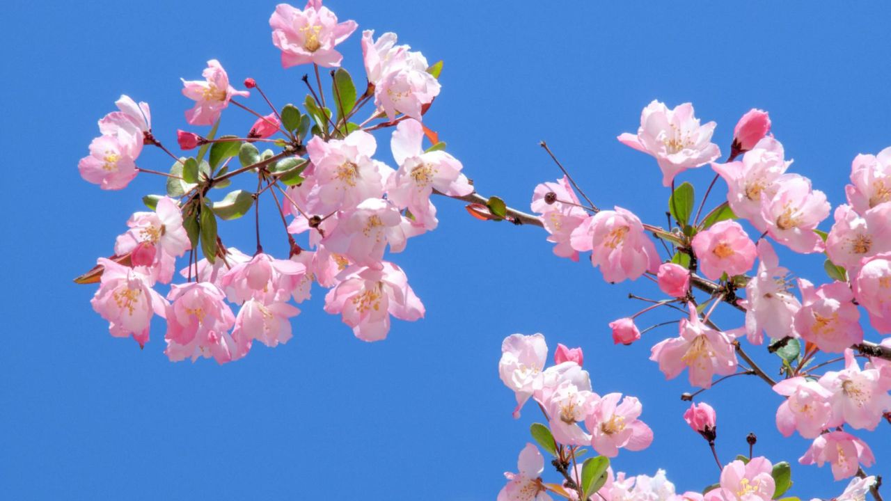 Parashikimi motit, 3 maj 2025