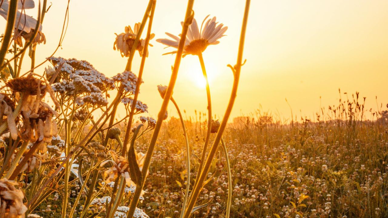 Parashikimi motit, 23 maj 2025