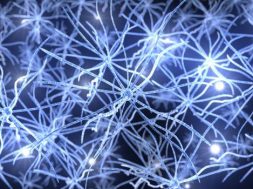 Neuralink neural network is linking computer - human communication in a new dimension.