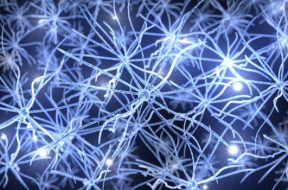 Neuralink neural network is linking computer - human communication in a new dimension.