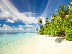 pexels-asadphoto-457878