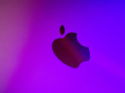 pexels-babydov-7789851