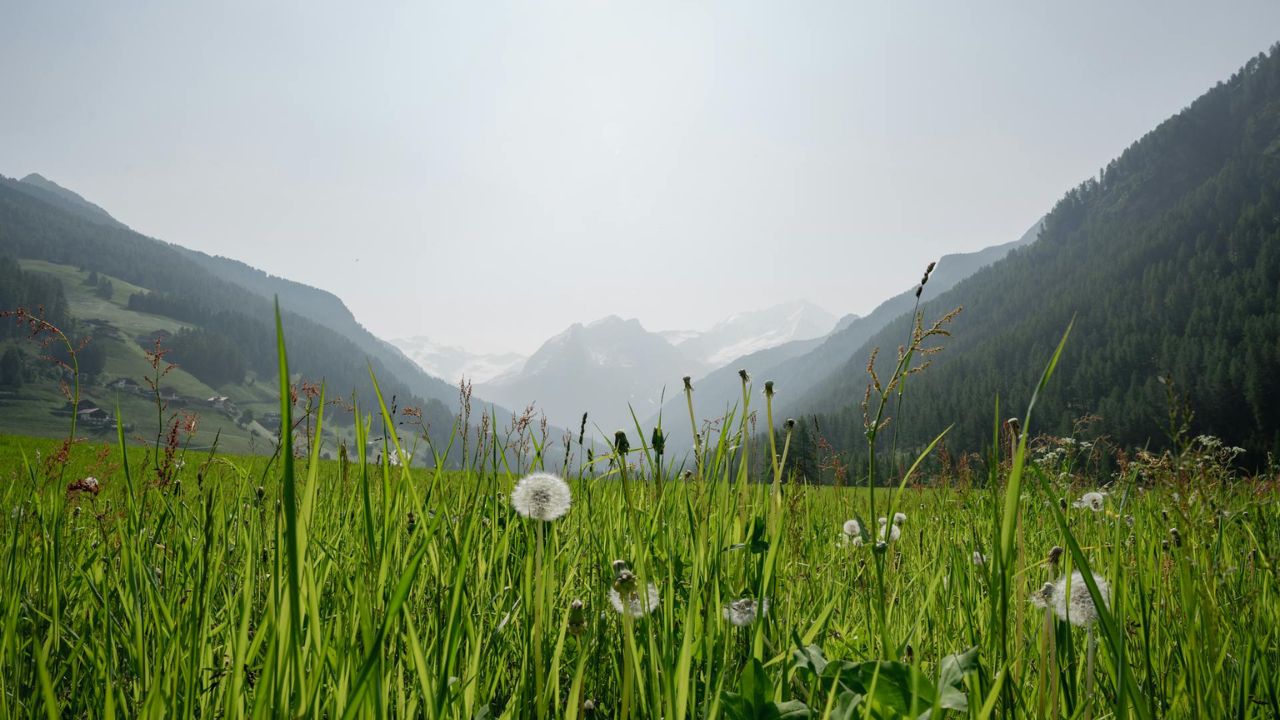 Parashikimi motit, 13 qeshor 2025