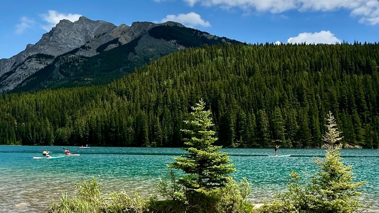 Parashikimi motit, 18 qeshor 2025