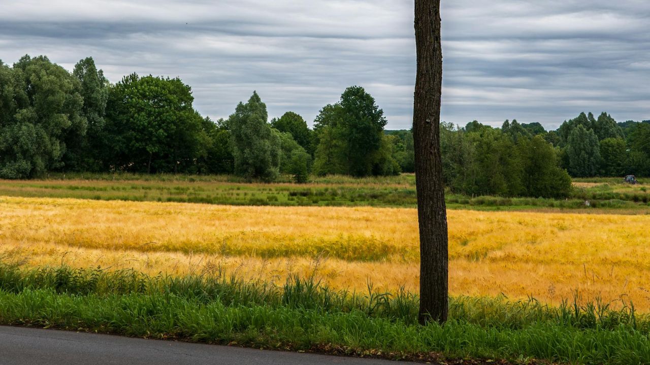 Parashikimi motit, 20 qeshor 2025