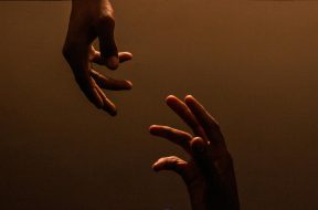 pexels-driftclick-1130220855-31726301