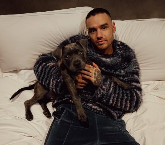 Ish-dashura e Liam Payne zbulon se çfarë e shkatërroi raportin e tyre