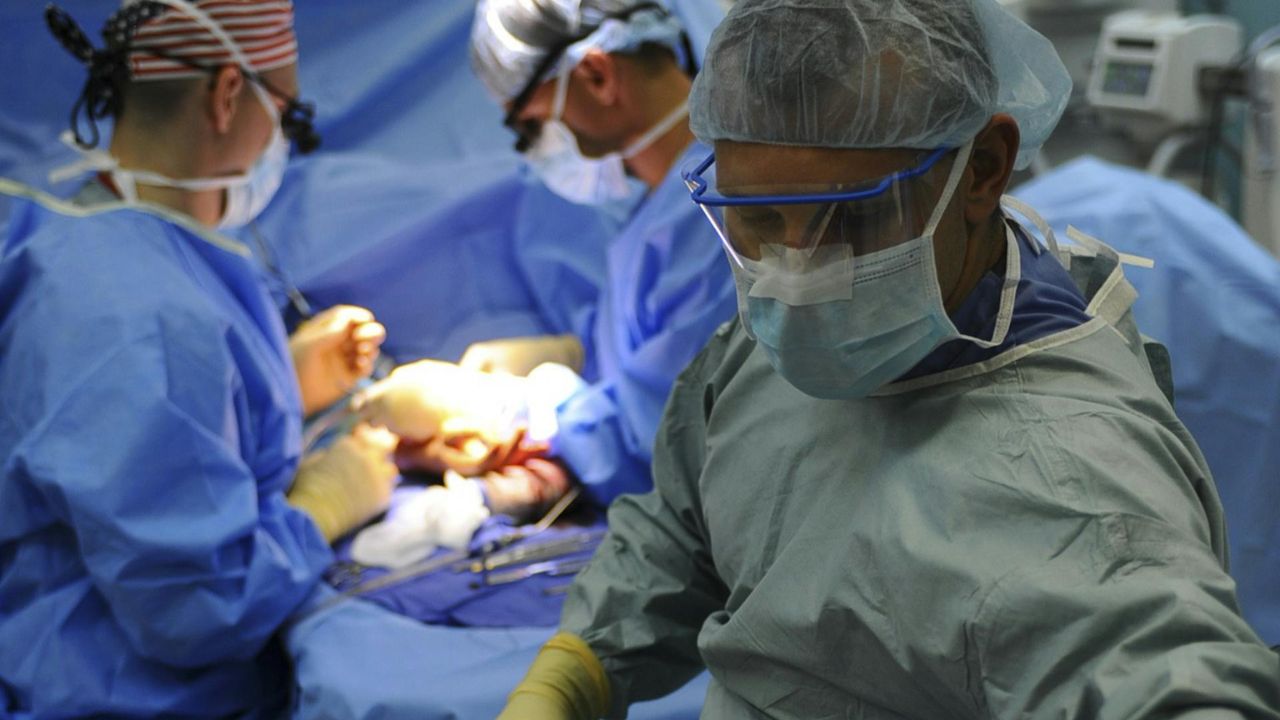 Shkencëtarët kinezë njoftojnë transplantin e parë të mushkërive nga derri te njeriu