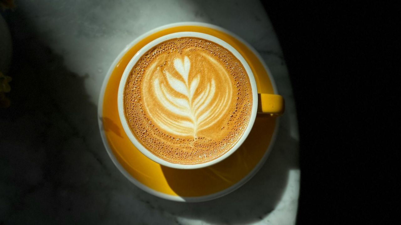 Studimi tregon se përzierja e kafesë dhe antibiotikëve mund të jetë një ide e keqe