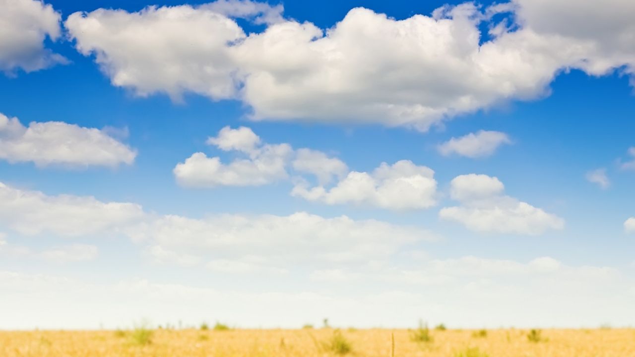 Parashikimi motit, 5 gusht 2025