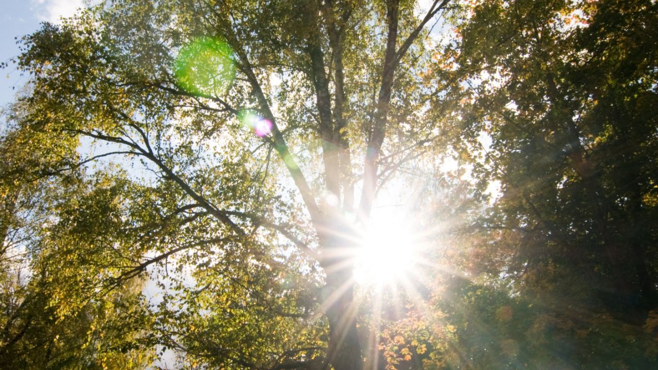 Parashikimi motit, 12 shtator 2025