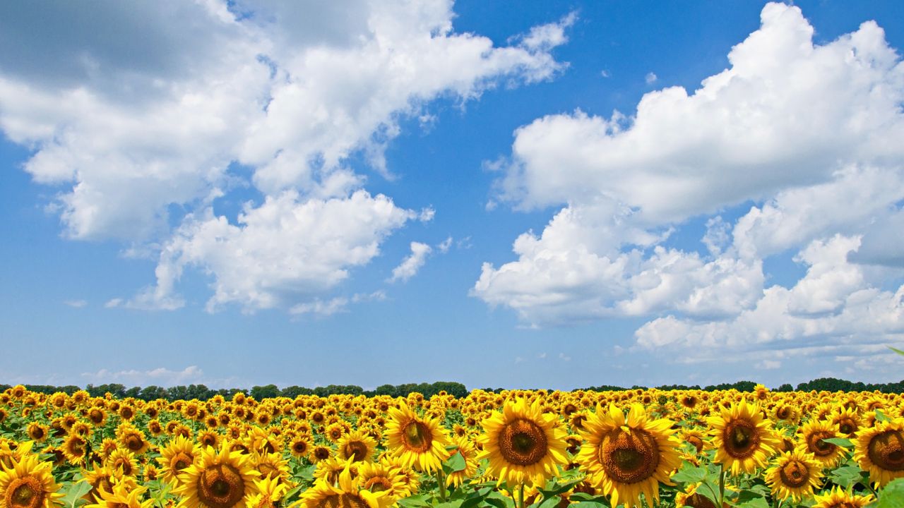 Parashikimi motit, 2 shtator 2025