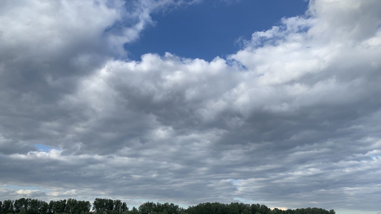 Parashikimi motit, 29 shtator 2025